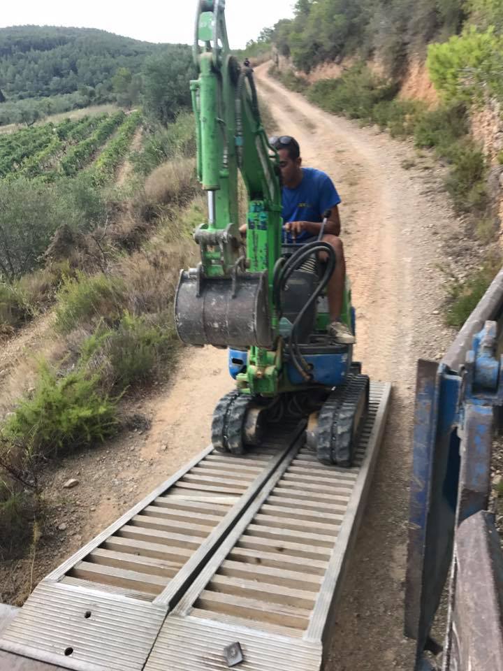 cueva en viñedo de bonastre