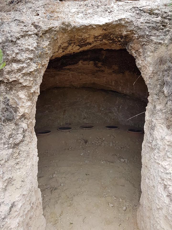 cueva en viñedo de bonastre